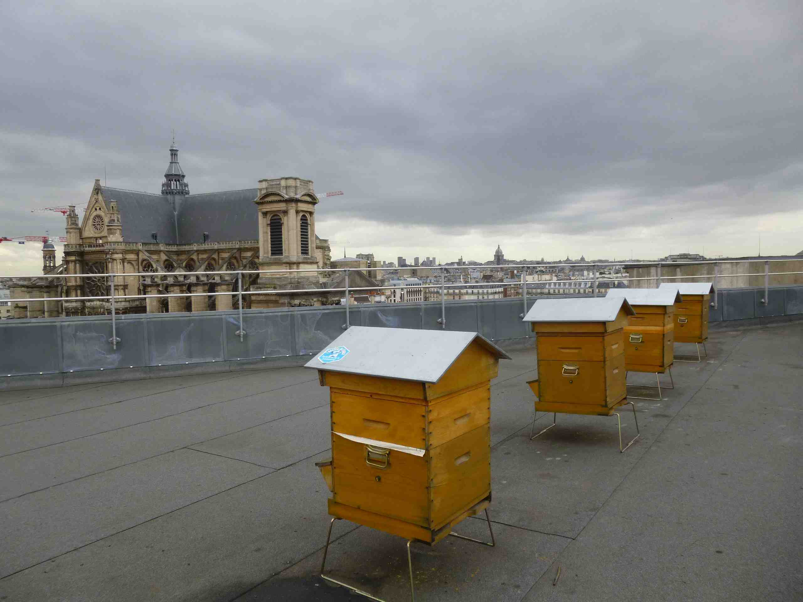 08_poste_louvre_ruches