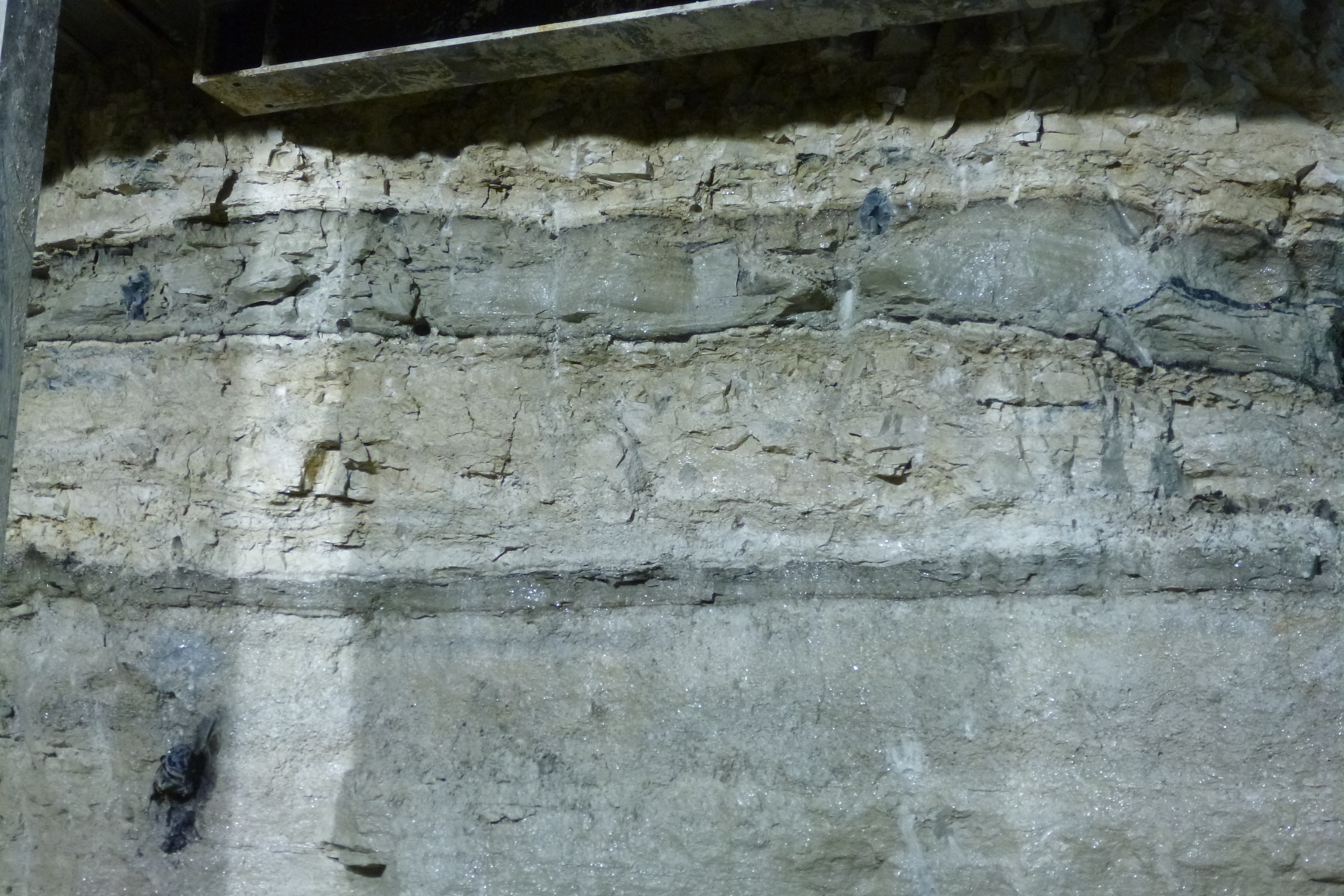 2014-05-21_P1010082